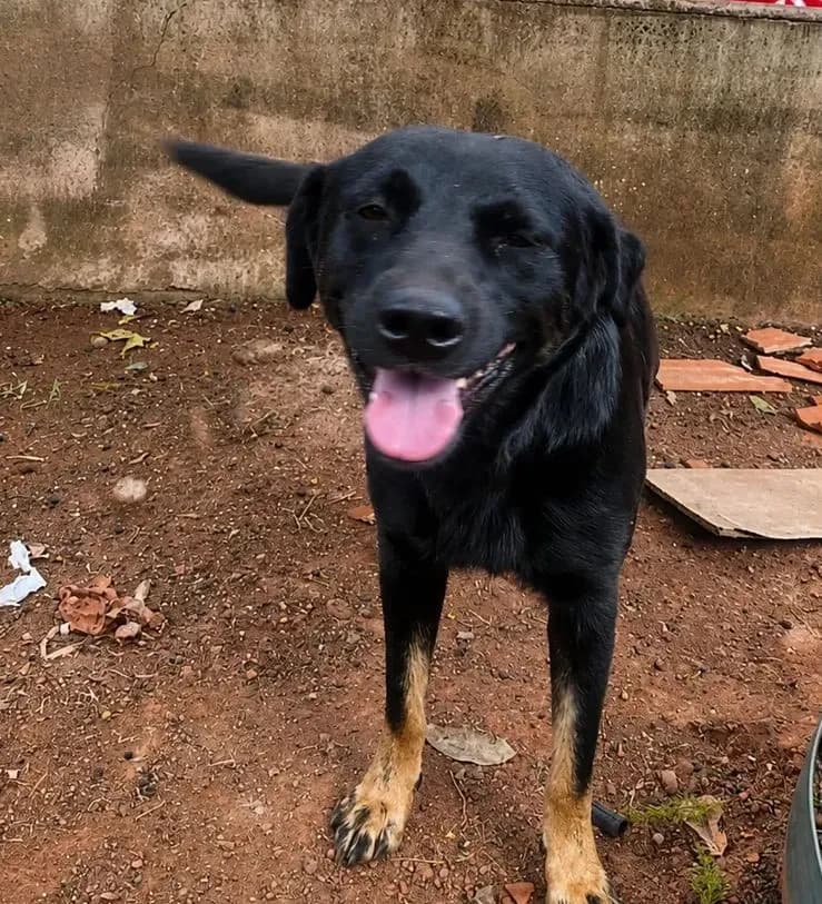 Foto de Maia