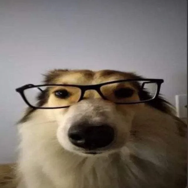 Foto de Zeus