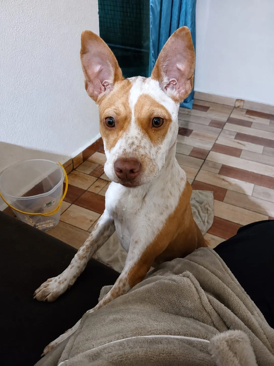 Foto de Nina