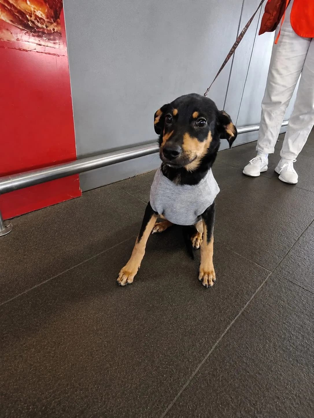 Foto de Cora