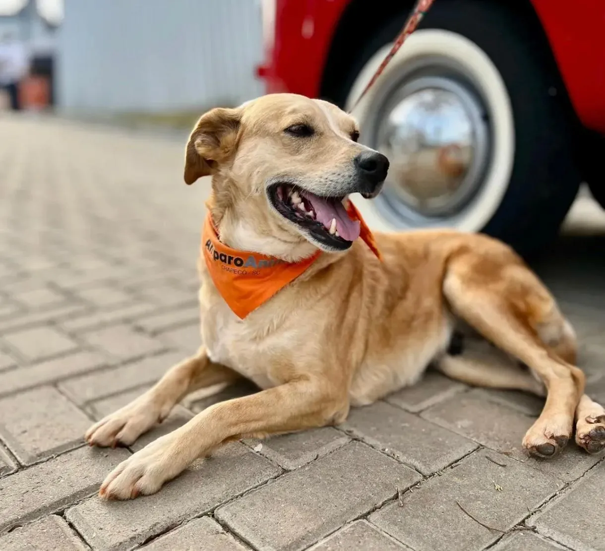 Foto de Frida
