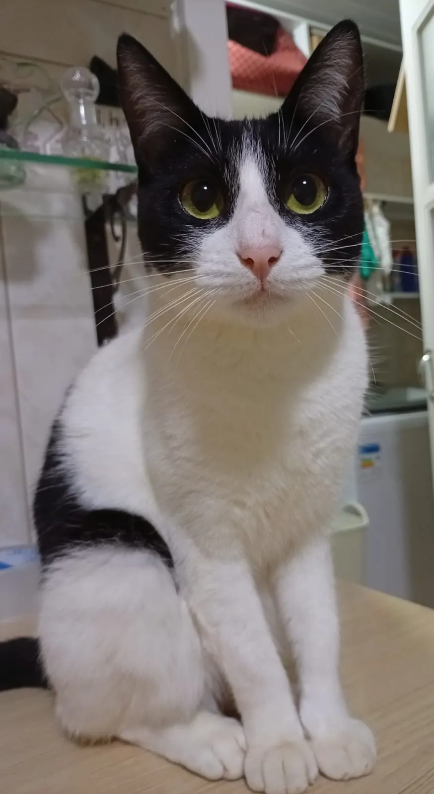 Foto de Bibi