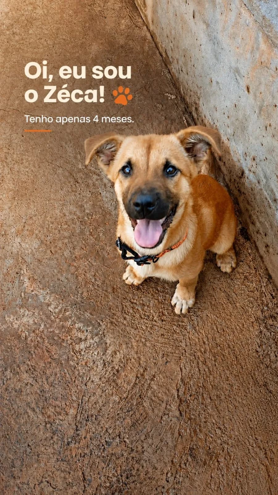 Foto de Zéca